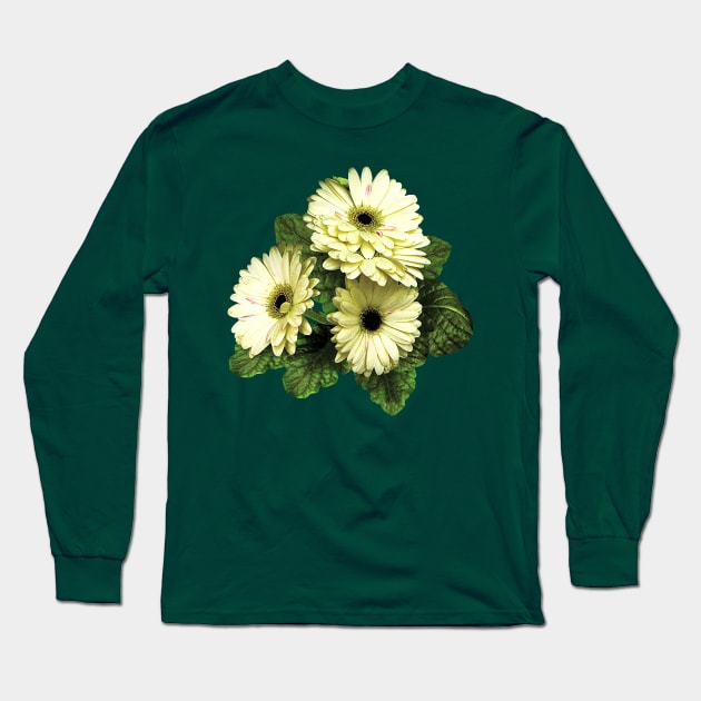 Three Pale Yellow Gerbera Daisies Long Sleeve T-Shirt by SusanSavad